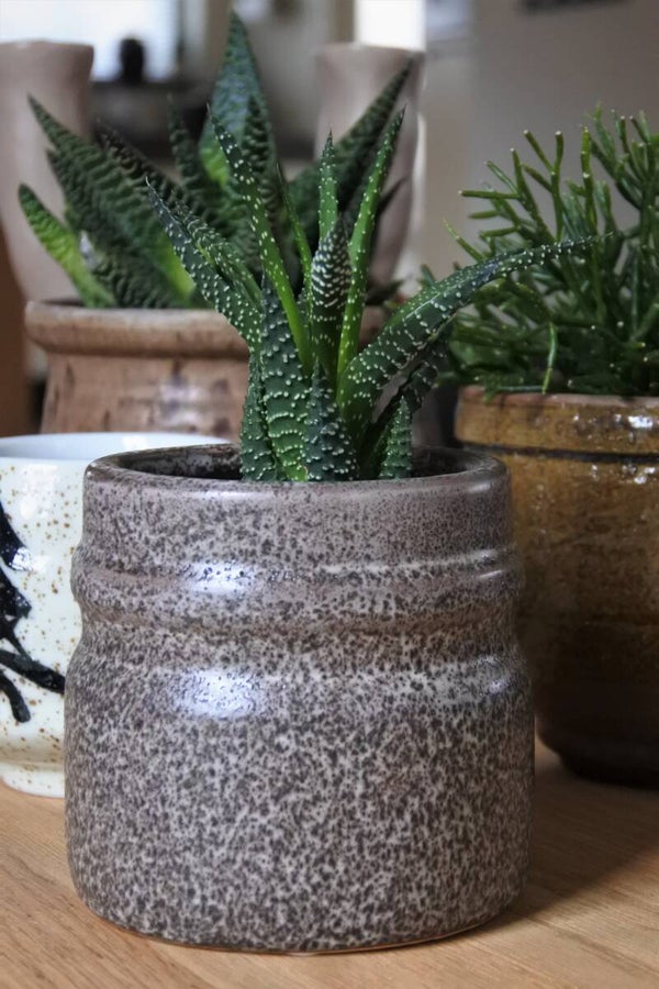 Vintage taupekleurige bloem-planten pot