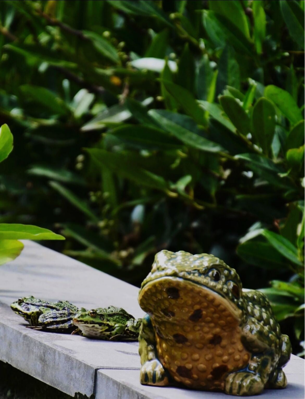 Padden preloved bloempot van keramiek