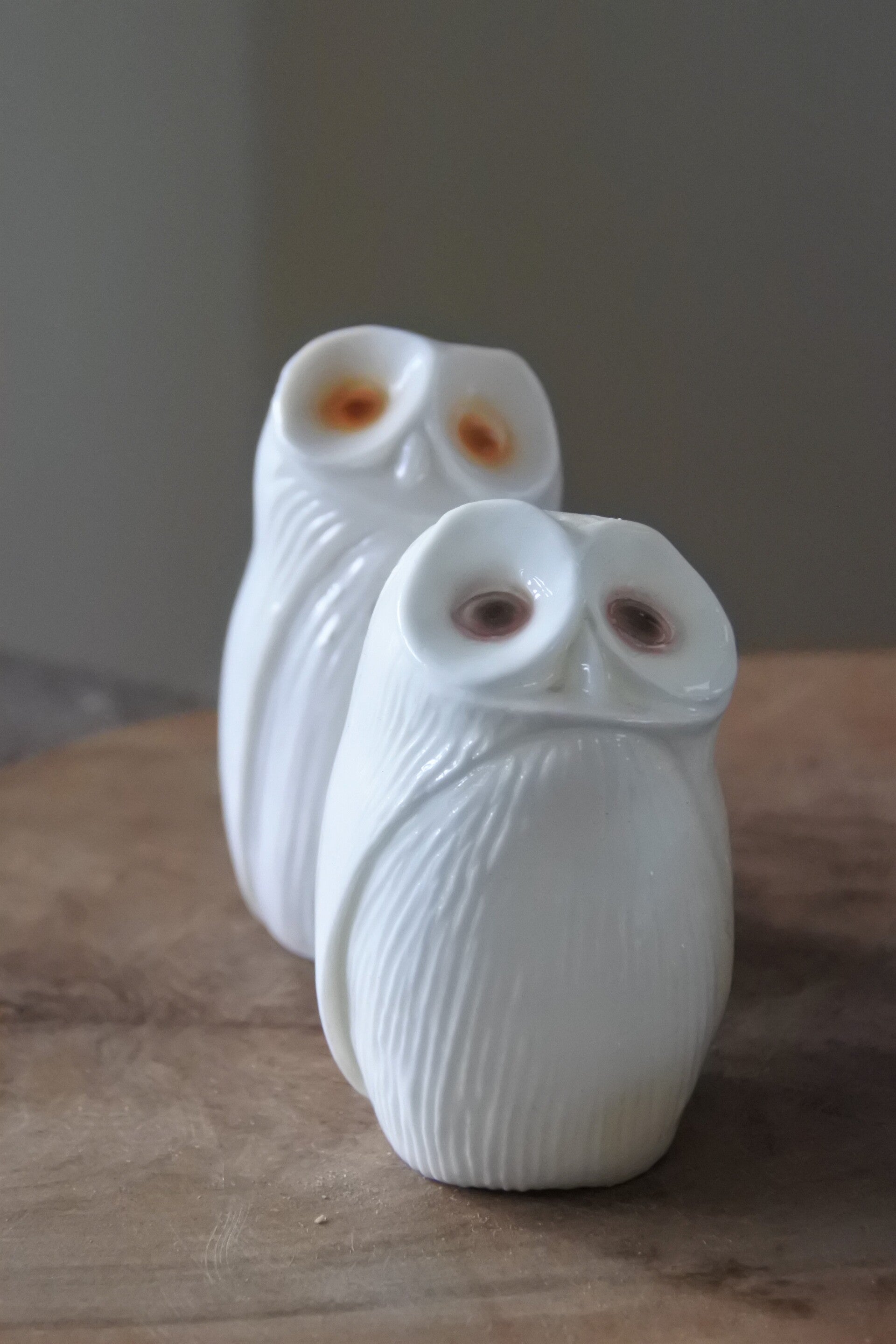 Vintage peper en zout stelletje uiltjes