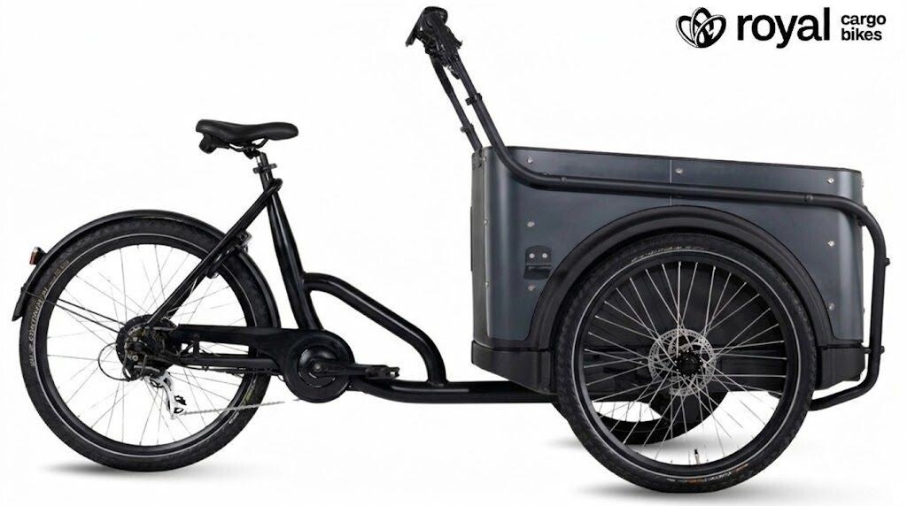 Royal Cargo Bike 3W ECO