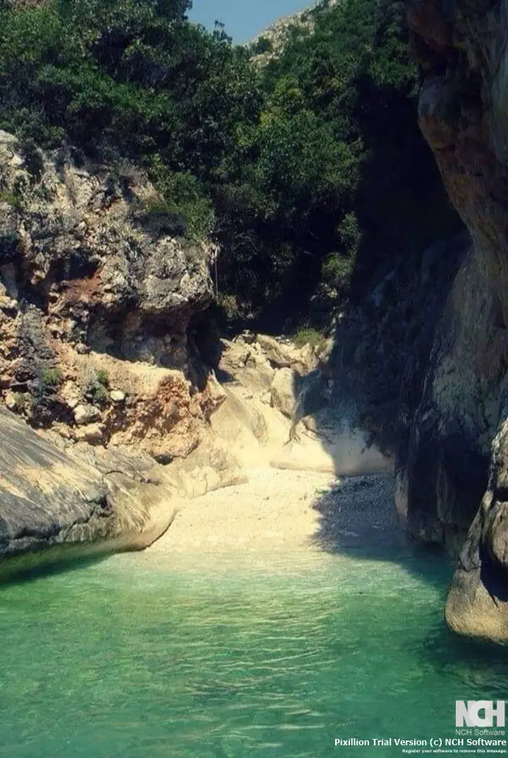 himara-stef-stam-nerantzis-standard.webp