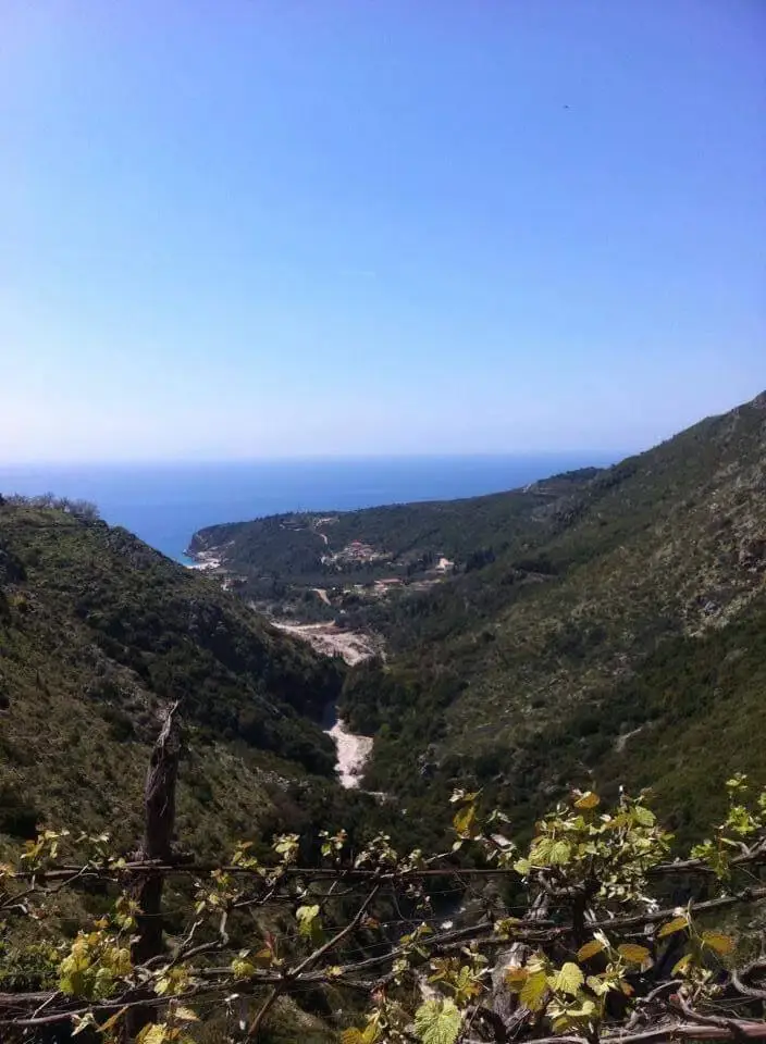 livadhi-view-standard.webp