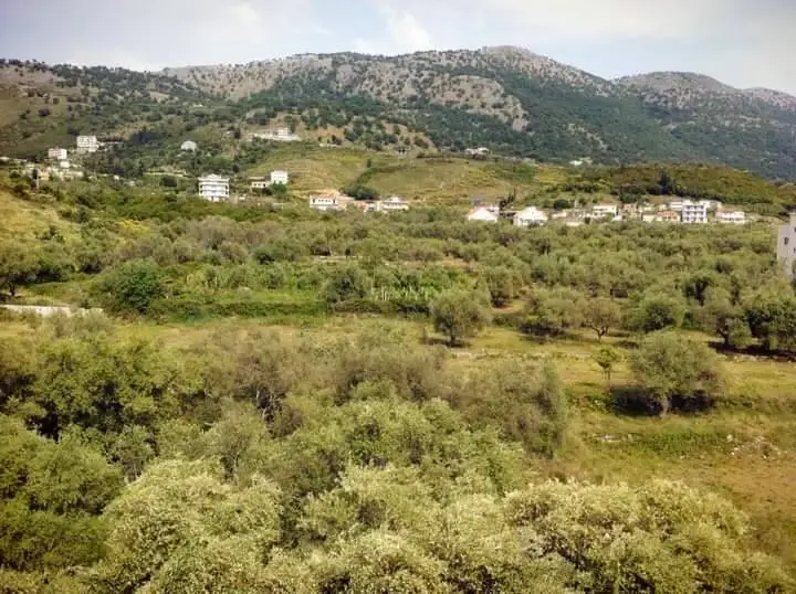 mountain-view-from-stef-stam-hotel-standard.webp