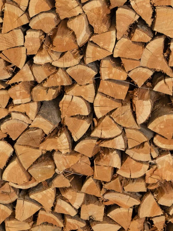 Apple - Facecord - SOLD OUT