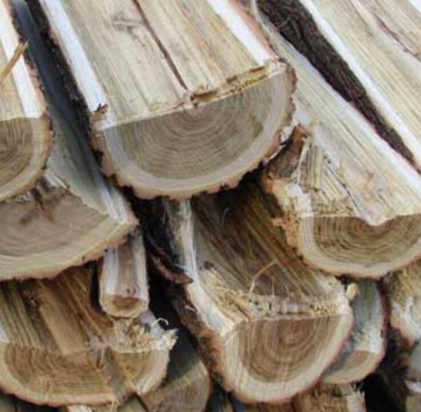 Black Locust - Facecord