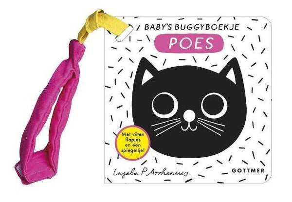 Buggyboekje - poes