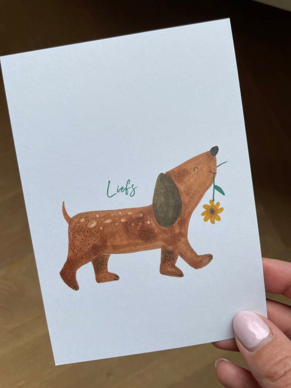 liefs - teckel