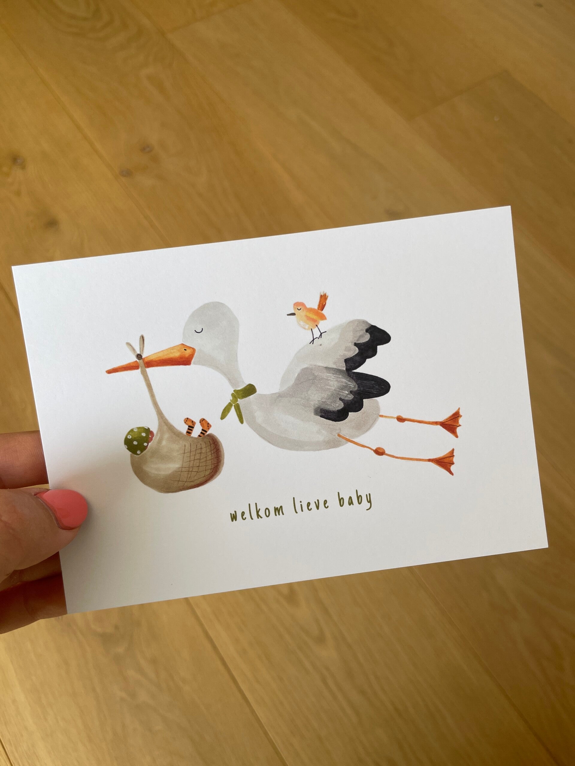 welkom lieve baby - ooievaar