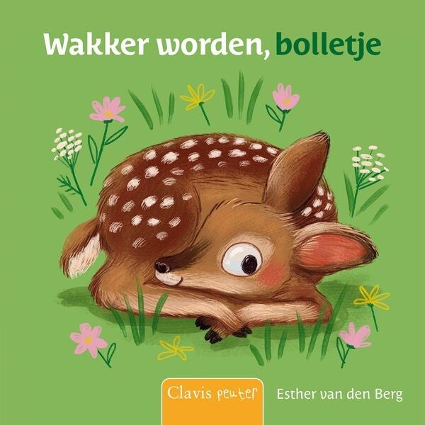 Kartonboekje - wakker worden, bolletje