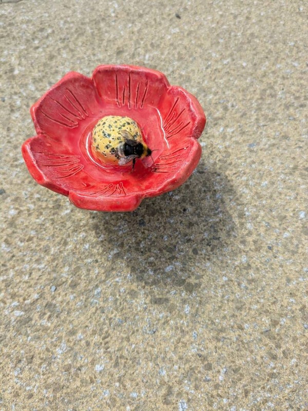 Bella Bee Feeder