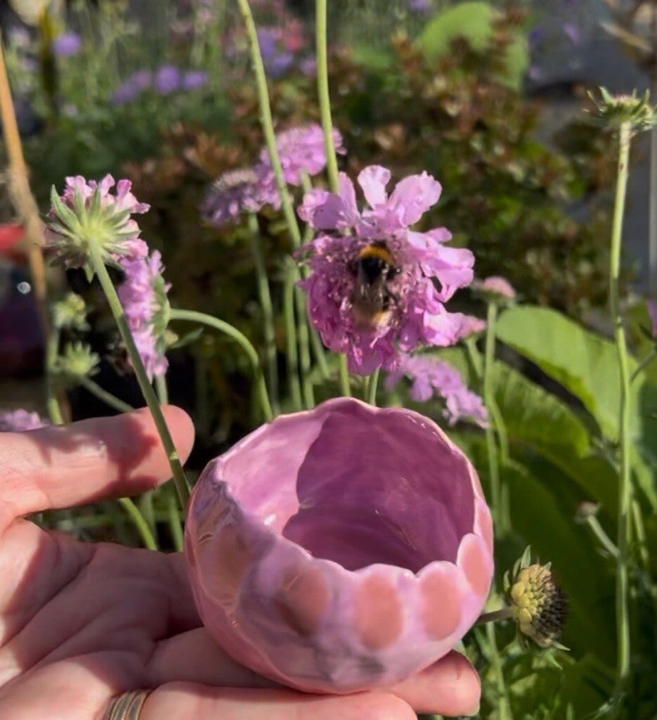 Betty Bee Feeder