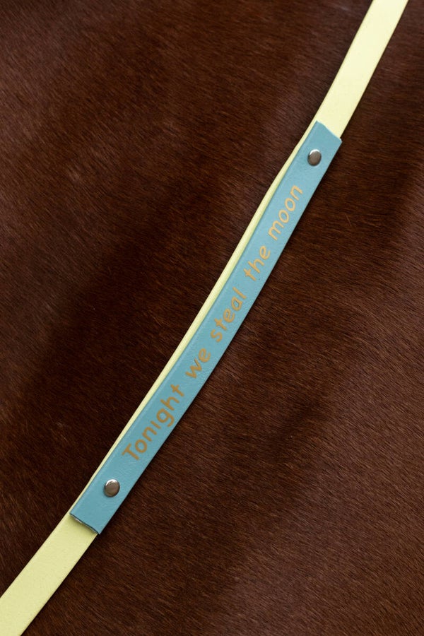 Biothane neckrope met: Tonight we steal the moon