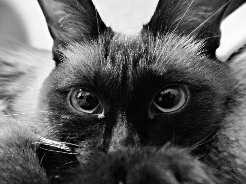 Foto: vedrana vidovic