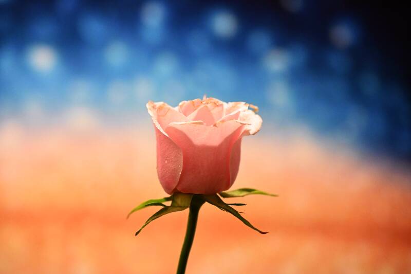 Foto: vedrana vidovic