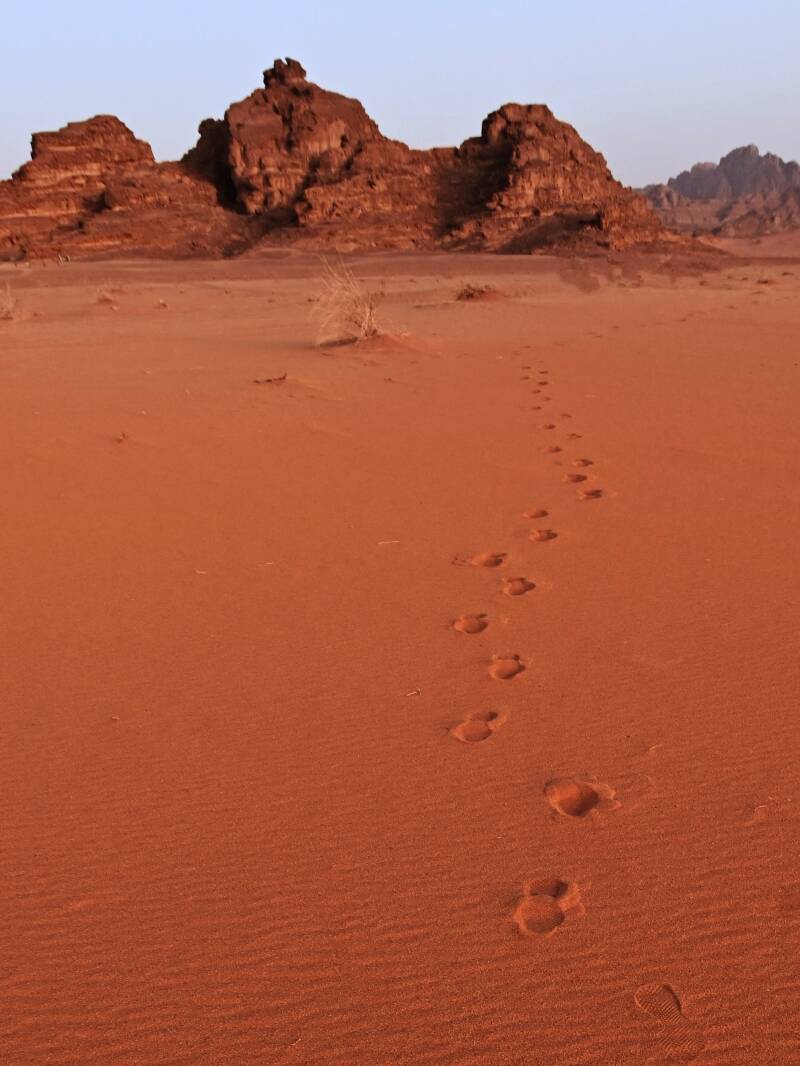 Foto: vedrana vidovic