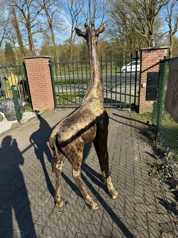 Giraf 185cm hoog in het brons of zilver
