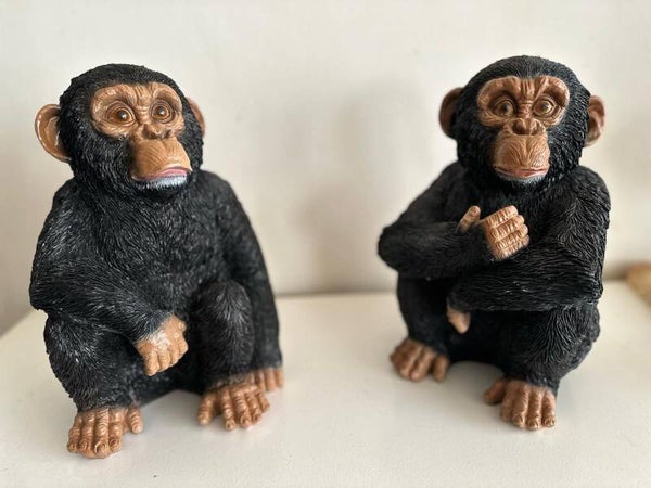 Chimpansee zittend (2 modellen) 30cm