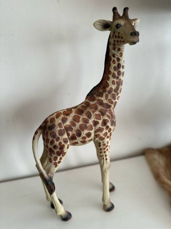Girafje. Leuke kleine Giraf