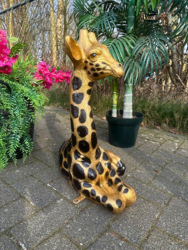 Leuke kleine Giraffe