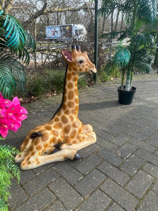 Leuke Giraf in diverse modellen