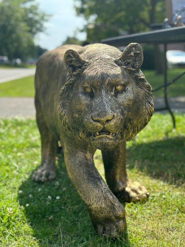 Tijger XXL