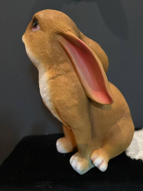 Super lieve konijnen