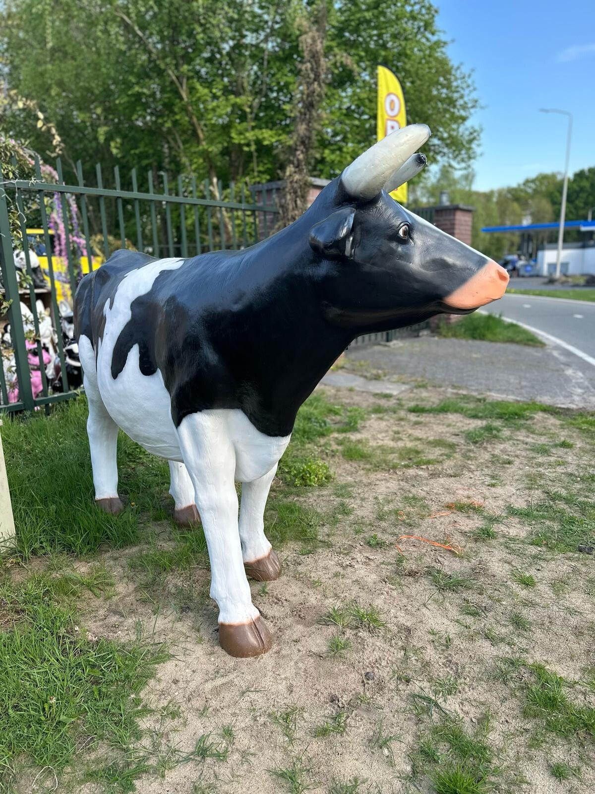 Grote zwart-witte Koe (155cm hoog)