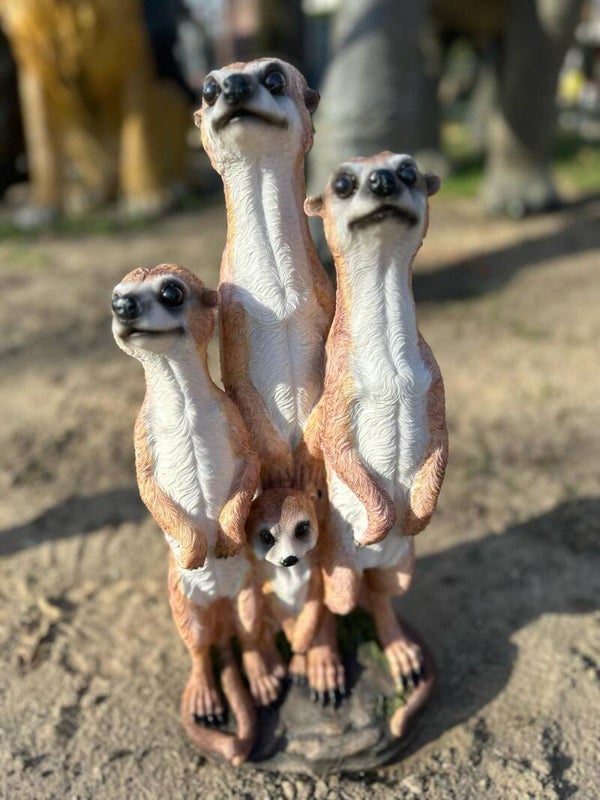 Stokstaartje familie