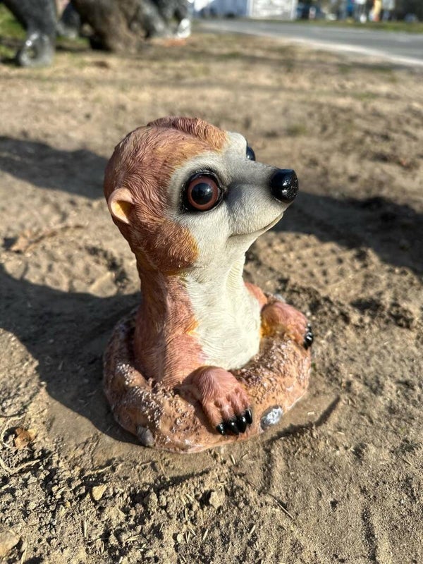 Stokstaartje (grond)