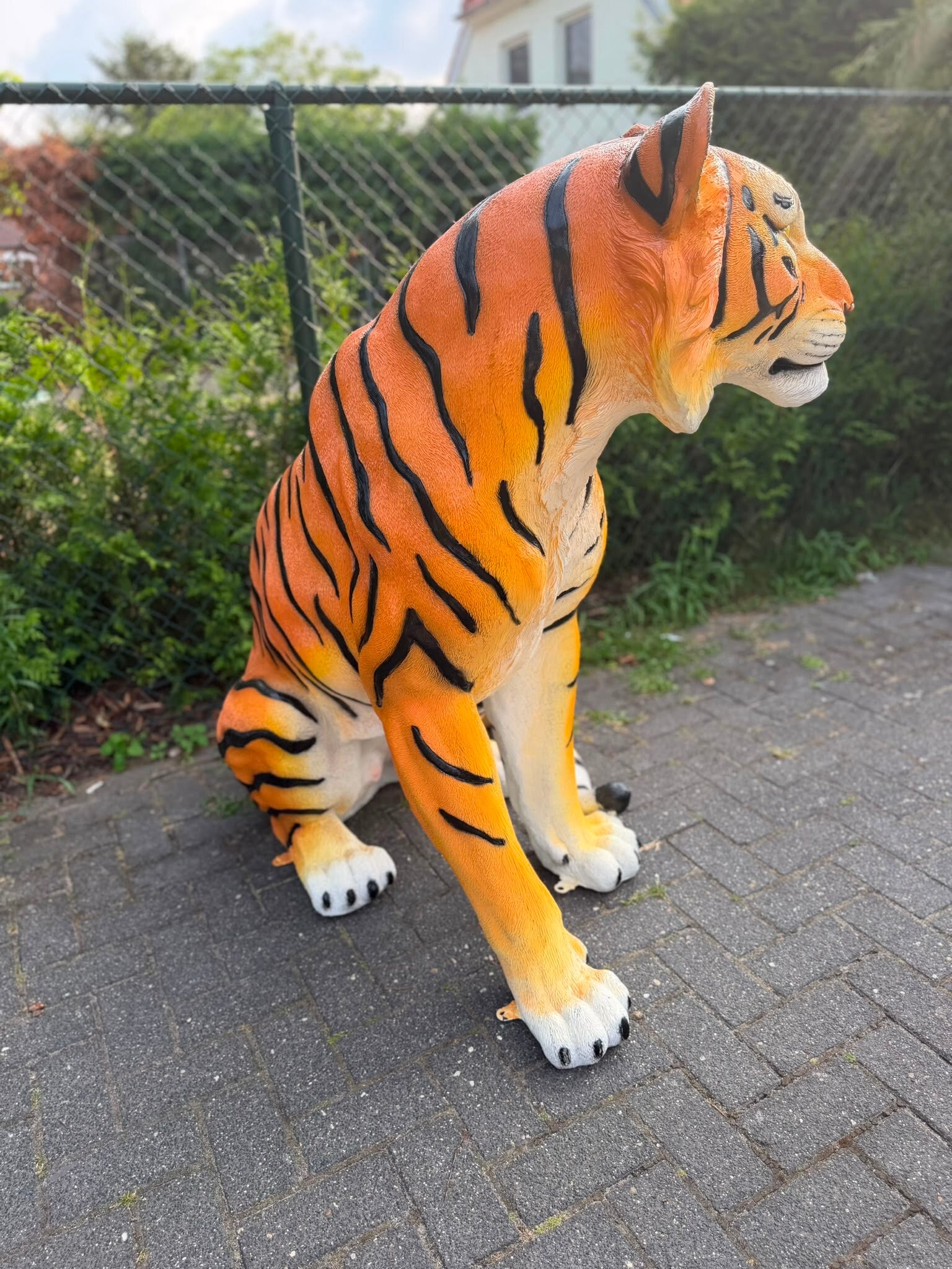 Imposante Tijger zitten in wit of originele kleur