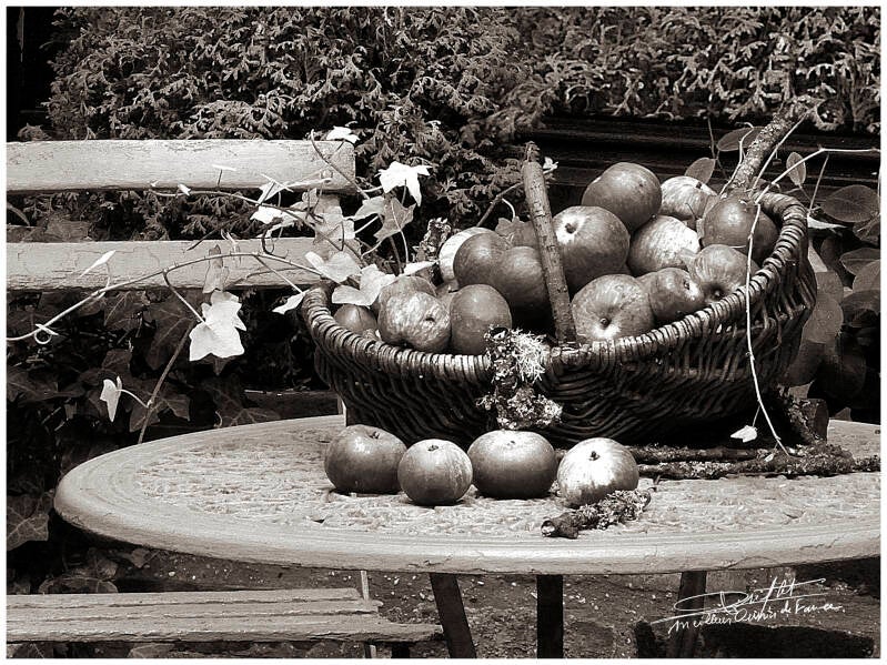 011-le-panier-de-pommes-n-b-standard.jpg
