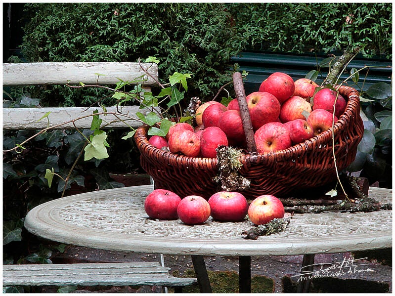 012-le-panier-de-pommes-standard-999qko.jpg
