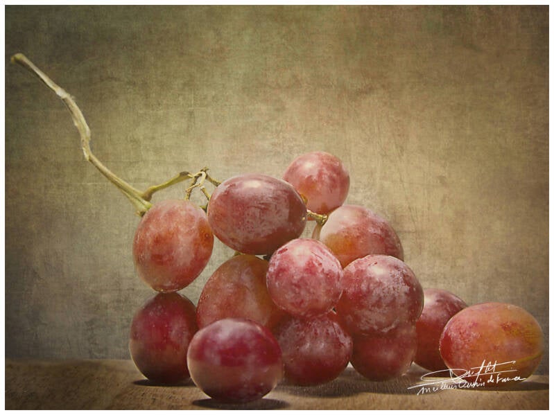 03-la-grappe-de-raisin-standard-1amzm2.jpg