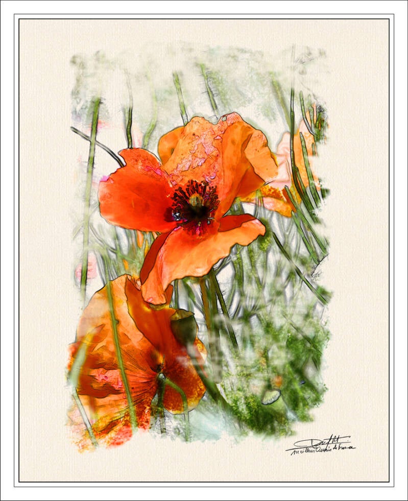 acrylique-coquelicot-standard-yh6d3v.jpg