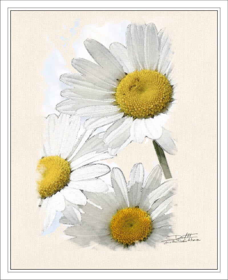 acrylique-marguerittes-standard.jpg
