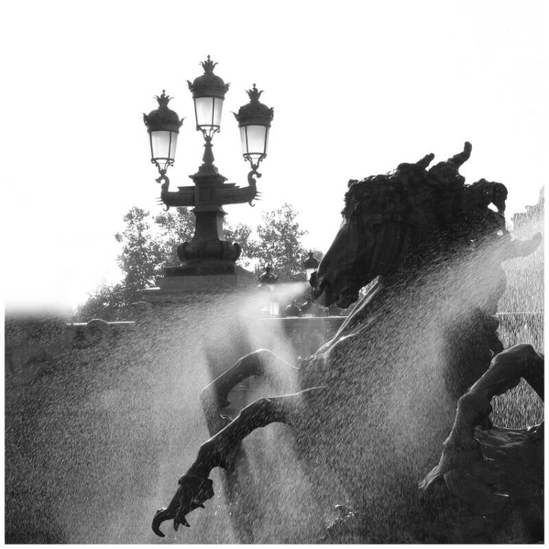 cheval-de-fontaine-bordeaux-standard-f5ysoq.jpg