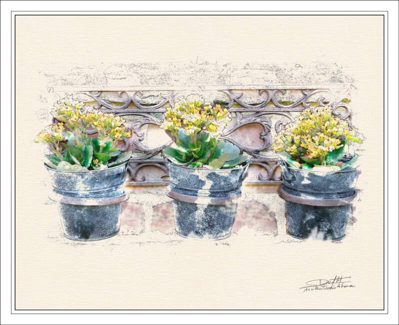 les-trois-pots-blangy-le-chateau-standard.jpg