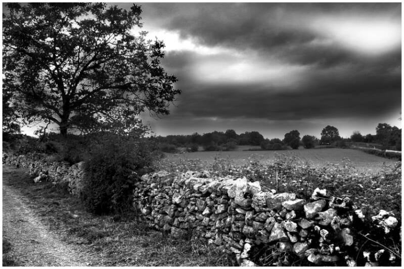 muret-de-pierres-dans-le-quercy-standard-w0wrd3.jpg