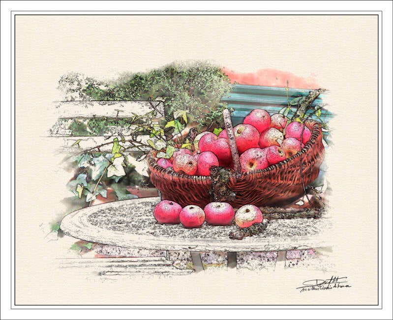 pannier-de-pommes-standard.jpg