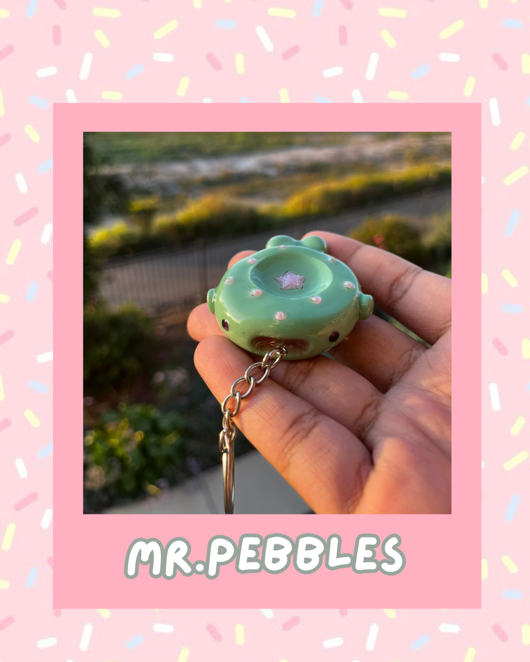 Mr. Pebbles 🌿