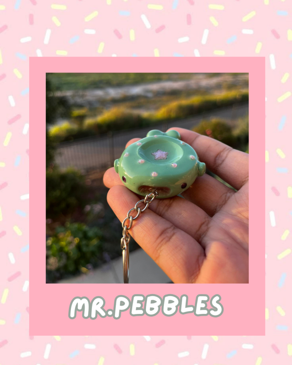 Mr. Pebbles 🌿