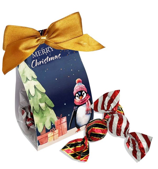 Präsentpackung Pinguin - 3,95€/Stück