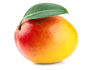 Mango Media