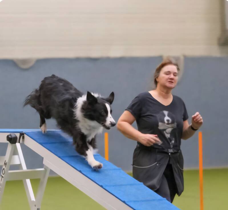 Angela beim Agility-Wettkampf