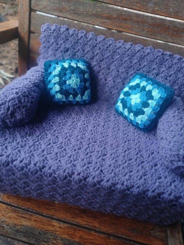 Cat couch