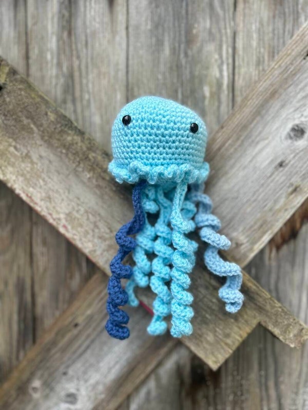 Jellyfish