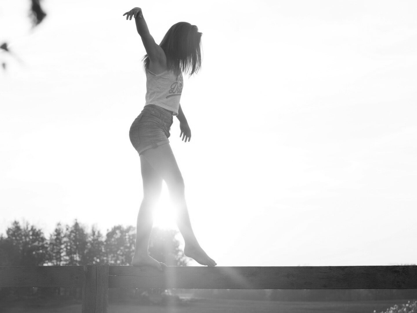 (Szkolenie online) Start zawodowy w Holandii – jasność i stabilność