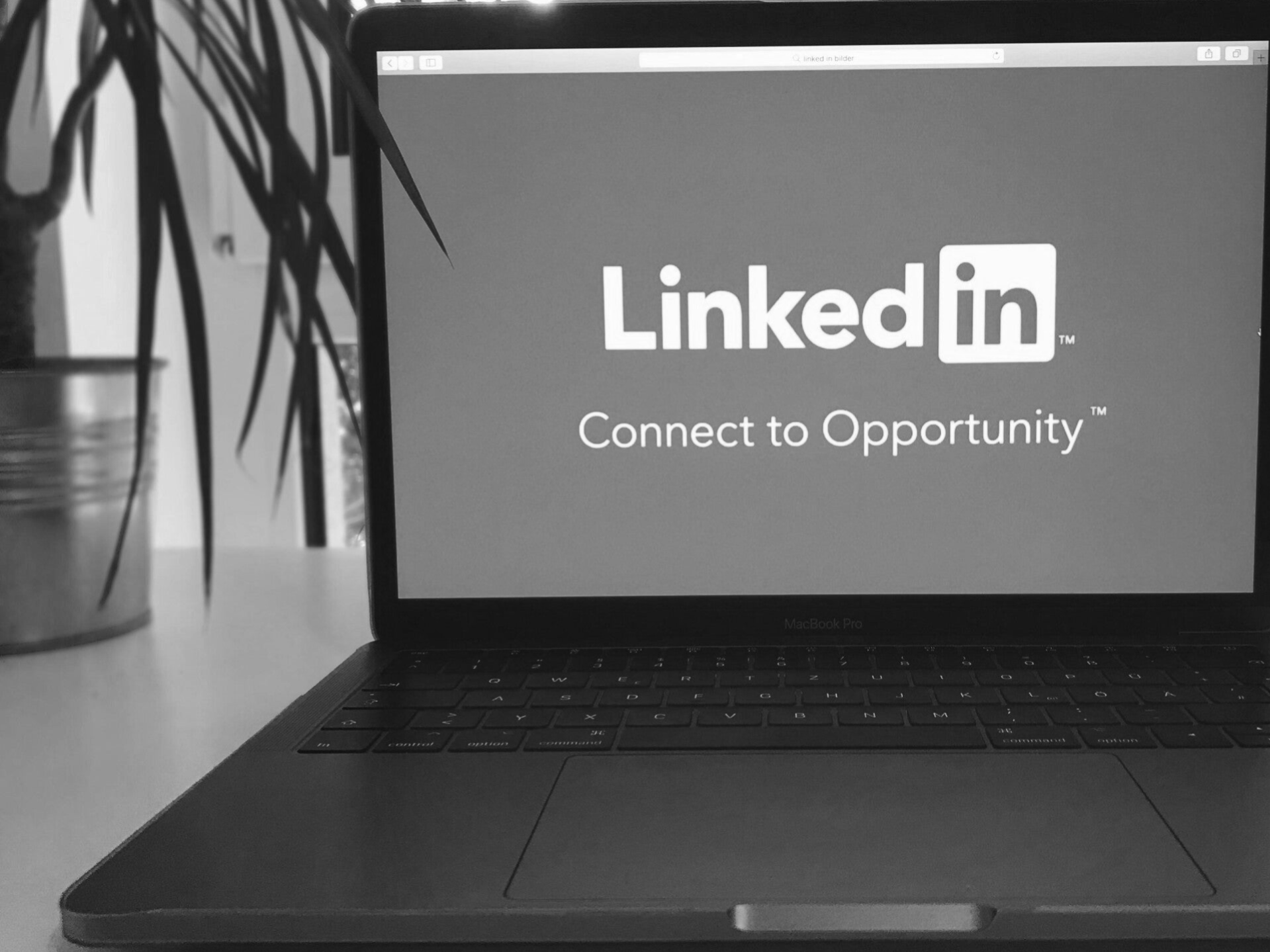 (Szkolenie online) CV i LinkedIn po holendersku – czytelnie i profesjonalnie