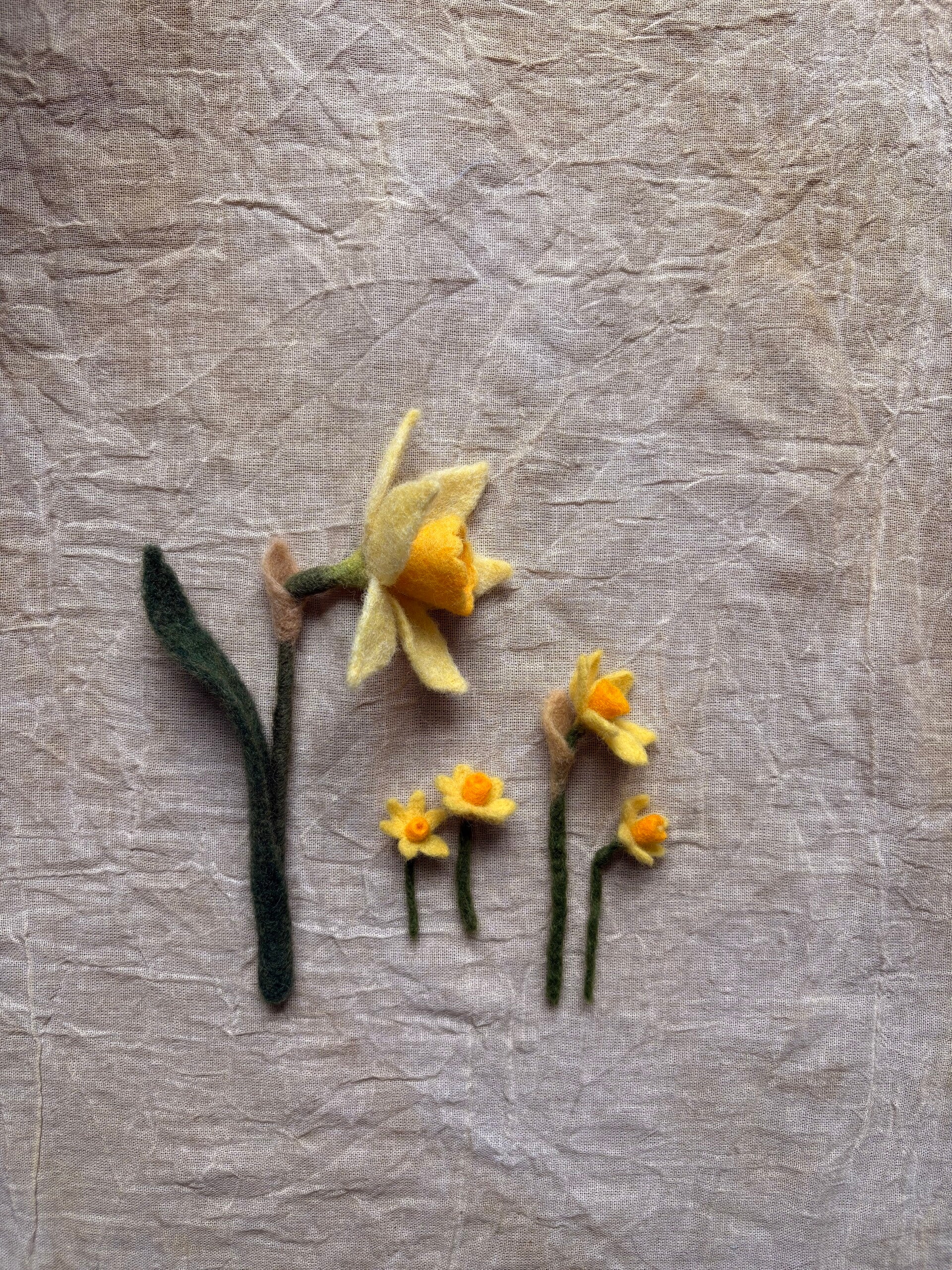 Narcis lichtgele blaadjes