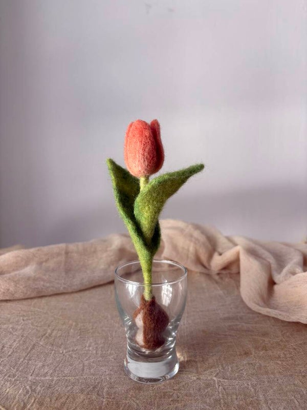 Rouge tulp